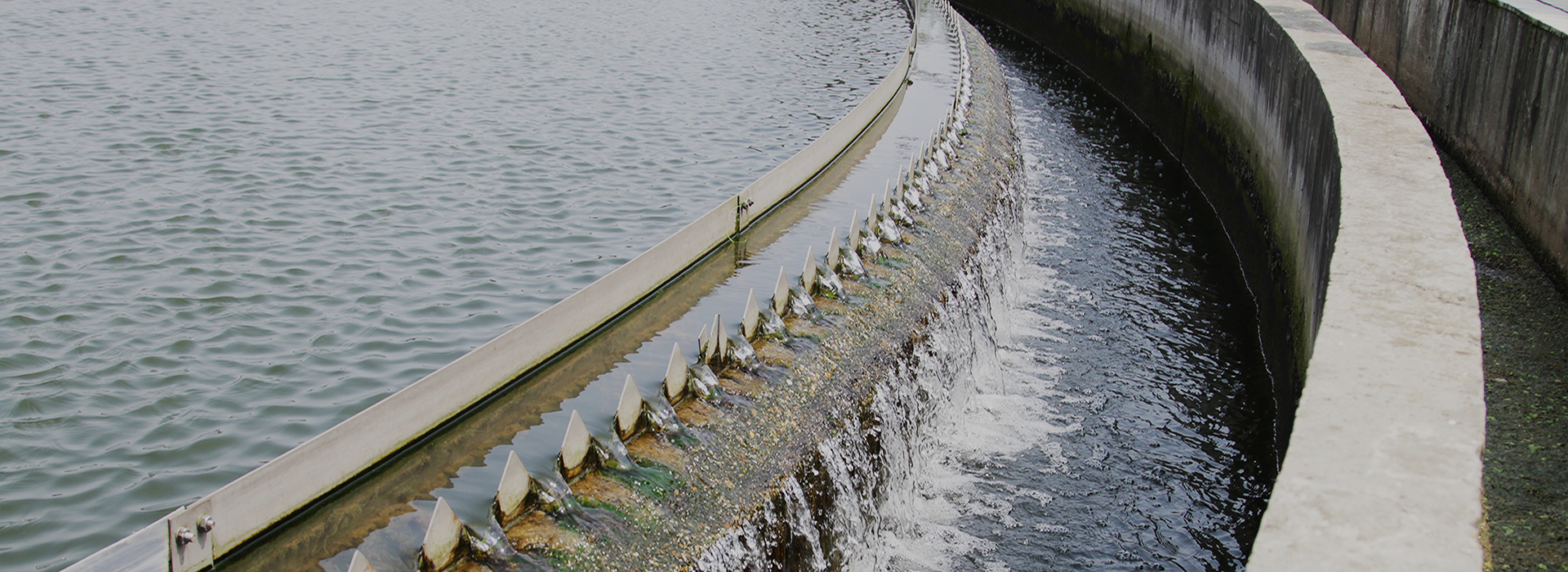 BY10-B02（臥式雙推進(jìn)直供式包子機(jī)）